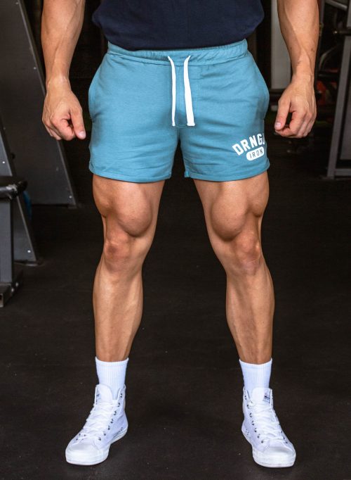 IRON Fleece Shorts - Blue Steel